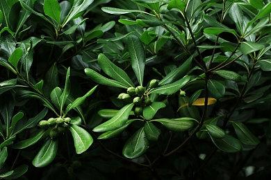 《大侠立志传外传》立项部分原因：更新影响热情